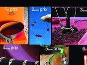 Loto organisé pour l'opération podenca Dulce