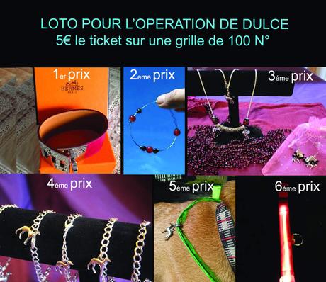 Loto organisé pour l'opération de la podenca Dulce