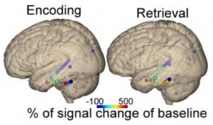 MÉMOIRE SPATIALE: De l'orientation au repérage, tout est dans la carte cérébrale – Current Biology