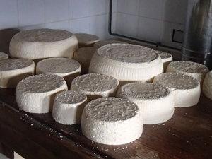 La fabrication du fromage  à la ferme de la Choumette