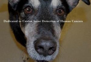CANCER de la THYROÏDE: Le flair du chien pour le détecter – ENDO 2015