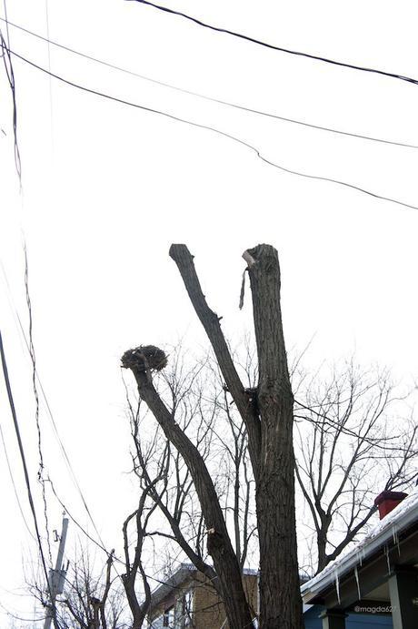 Petit coin du ciel #21 anteketborka.blogspot.com, ciel 21 g