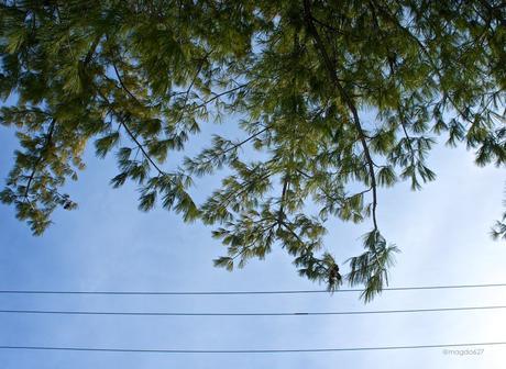 anteketborka.blogspot.com, ciel 21 b