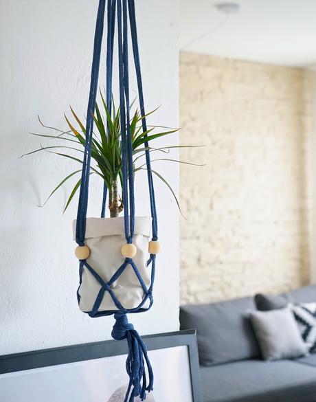 Mes_plantes_suspendues