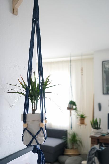 Mes_plantes_suspendues