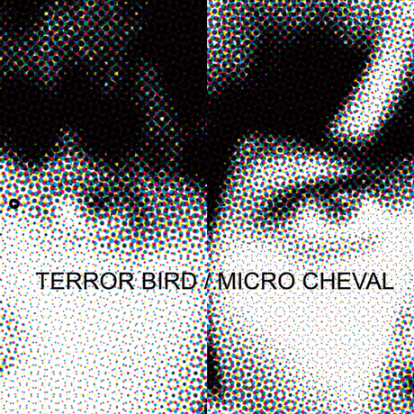 Terror Bird - Micro Cheval