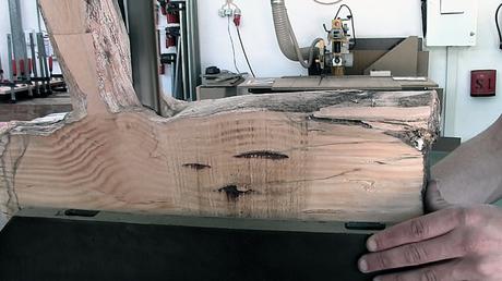 Pine collection mobilier aiguilles de pin par Samuel Reis