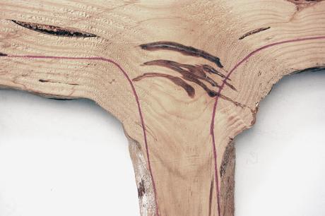 Pine collection mobilier aiguilles de pin par Samuel Reis