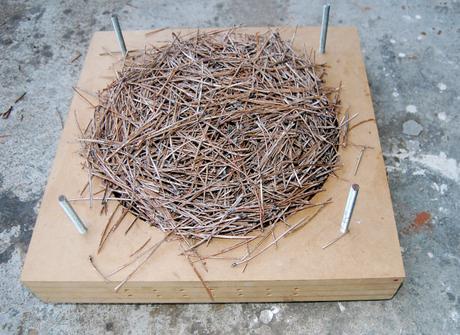 Pine collection mobilier aiguilles de pin par Samuel Reis