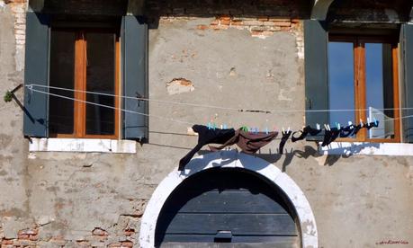 Le long du Rio dei Mendicanti