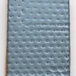 J’habite ici ! / vernissage 19h à l’Anacrouse Galerie AL/MA Dominique DE BEIR « Spirit Carbon »