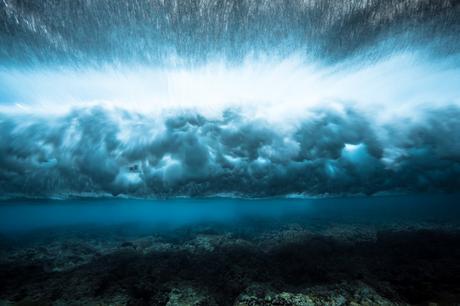 Mark Tipple / The underwater projet - Mare vida 