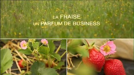fraise_business