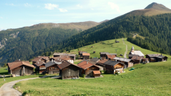 chat qui louche maykan alain gagnon francophonie