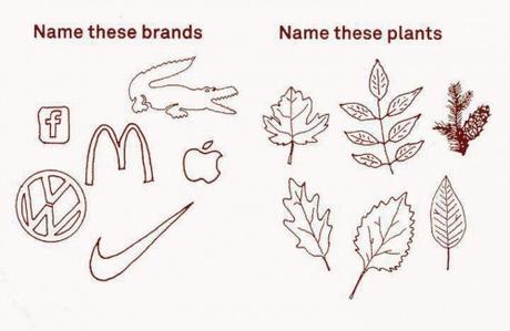 brand-recognition-vs-nature-recognition