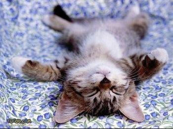 La fable de la femme et l’équilibre