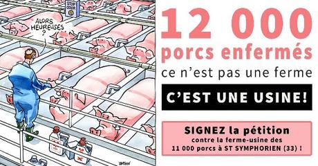 12 000 porcs enfermés : ce n’est pas une ferme, c’est une usine !