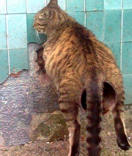 Belle démonstration les copains...