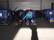 Merci Michelle mari transporteur pour chiens