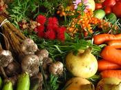 gouvernement flanque coup massue l’agriculture biologique