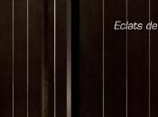 Galerie exposition Martin HOLLEBECQ Eclats pierre