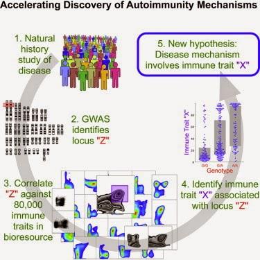 #Cell #immunité #autoimmunité #SNP #GWAS #bioressource Architecture génétique du système immunitaire chez l’homme : une bioressource pour l’autoimmunité et la pathogénèse des maladies