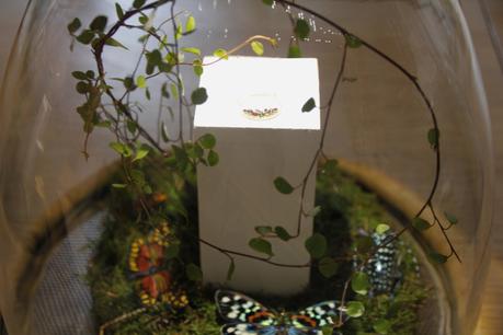 MODE Le Manège A Bijoux d’E.Leclerc, Vous ne verrez plus les bijoux de la même façon