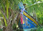 Samui, debout crabes