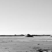 Exposition Michaël Viala à la Galerie Vasistas | Montpellier