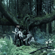 MOORE Allison – Enchanted woods