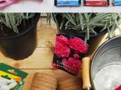 Jardin Balcon, semis #Spring