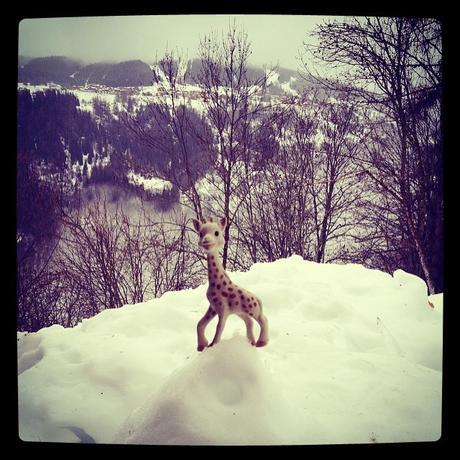 Un grand bol d'air frais #365photosduquotidien #10/52 Sophie in the snow (2 février) <script type=
