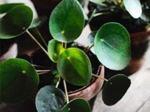 Un grand bol d'air frais #365photosduquotidien #10/52 Un grand bol d'air frais #365photosduquotidien #10/52