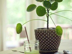 Un grand bol d'air frais #365photosduquotidien #10/52 Un grand bol d'air frais #365photosduquotidien #10/52