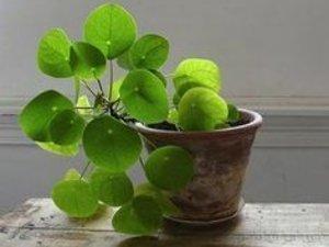 Un grand bol d'air frais #365photosduquotidien #10/52 Un grand bol d'air frais #365photosduquotidien #10/52