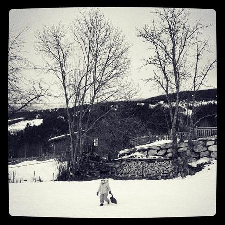 Un grand bol d'air frais #365photosduquotidien #10/52 Fan de luge et bouderie sous réverbère ! (4 mars)