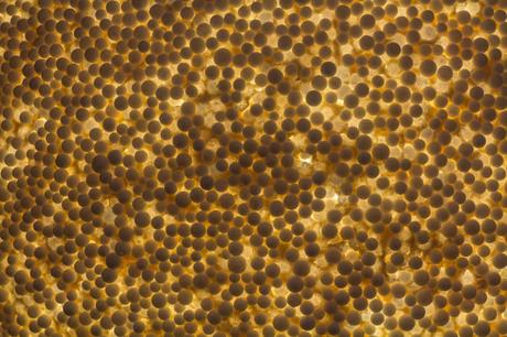 Agenda : Exposition Design à Réaction[s] de Lyon à Paris