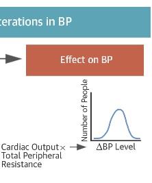 Trop de SEL affecte bien plus que la pression artérielle – Journal of the American College of Cardiology