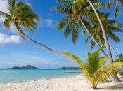 Mel’s come back articles cours d’ecriture