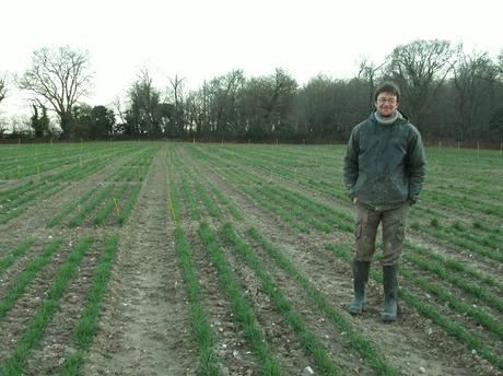 Face au changement climatique, les semences paysannes sont l’avenir de l’agriculture JPEG - 151.1 ko