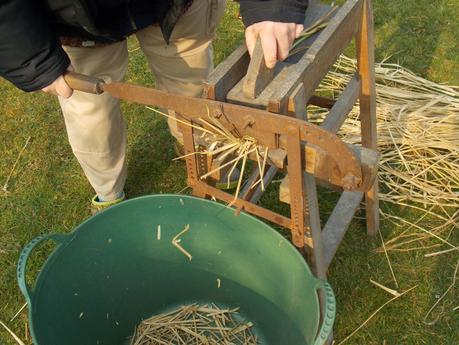 Paille de Miscanthus : comment l'utiliser ?