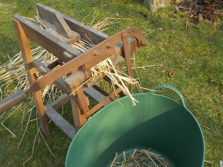 Paille de Miscanthus : comment l'utiliser ?