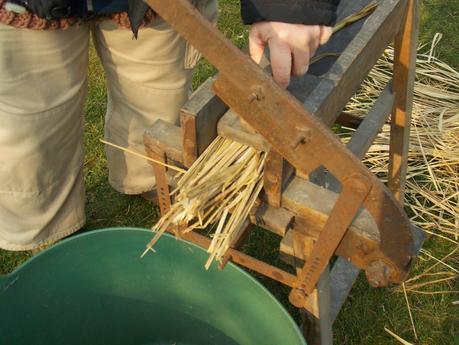 Paille de Miscanthus : comment l'utiliser ?