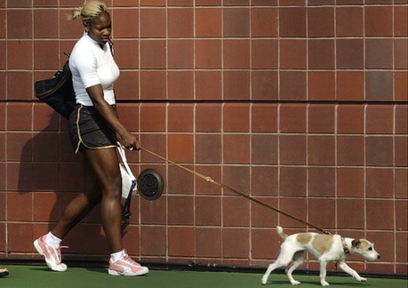 Ces sportifs qui ne peuvent pas se séparer de leur animal de compagnie