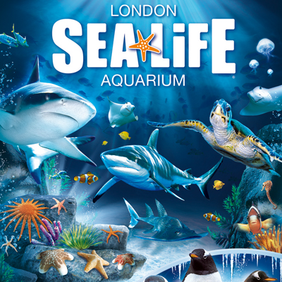 Sealife aquarium