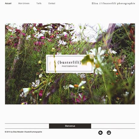 beau comme un sou neuf : le nouveau site busterlili-photographie