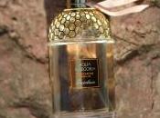 plan recherche parfum d’été idéal