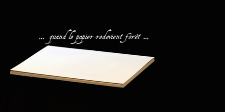 ART: Pascal Jeanjean réinvente le papier !