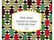 Manifestation pour droit divin cogner femmes