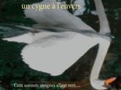 Sansonnets,un cygne l’envers: poète d’un jour, toujours